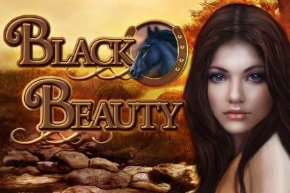 08244 black beauty