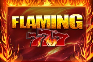 11285 flaming 777