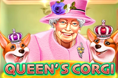 12054 queens corgi