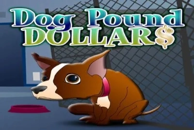 20253 dog pound dollars